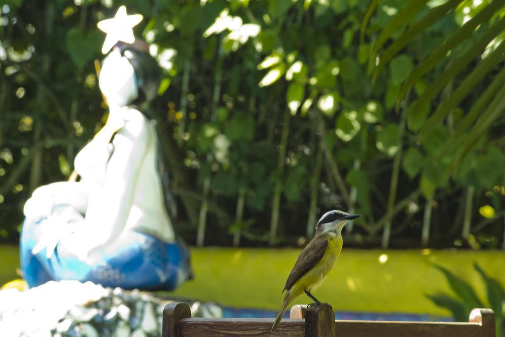 Art Hotel Aos Sinos Dos Anjos Porto Seguro Buitenkant foto